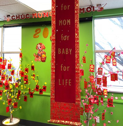 Chinese New Year Banner Chinese New Year Banner